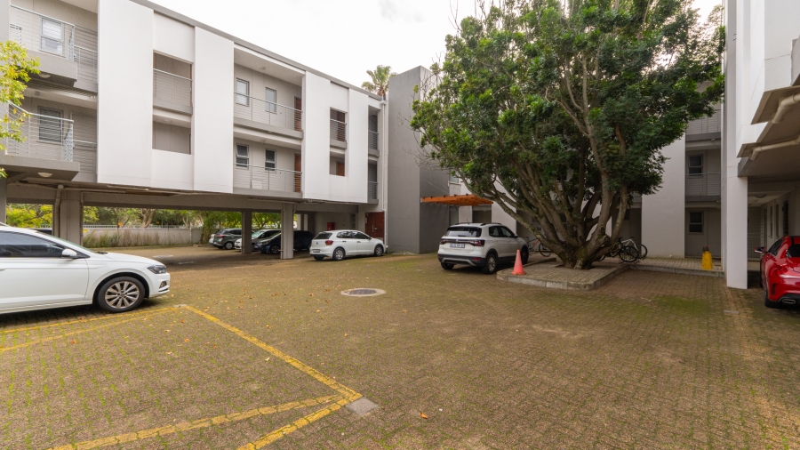 To Let 0 Bedroom Property for Rent in Stellenbosch Central Western Cape